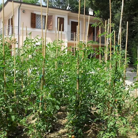 In Nature,10min From شقة بيرودجا