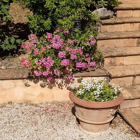 In Nature,10min From *